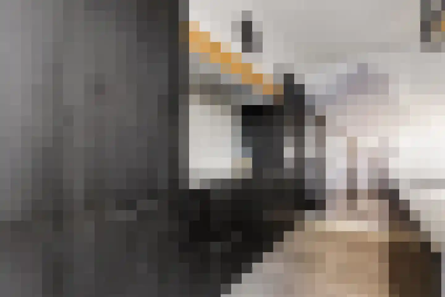 Molendijkjes 25 Elburg thumbnail 29
