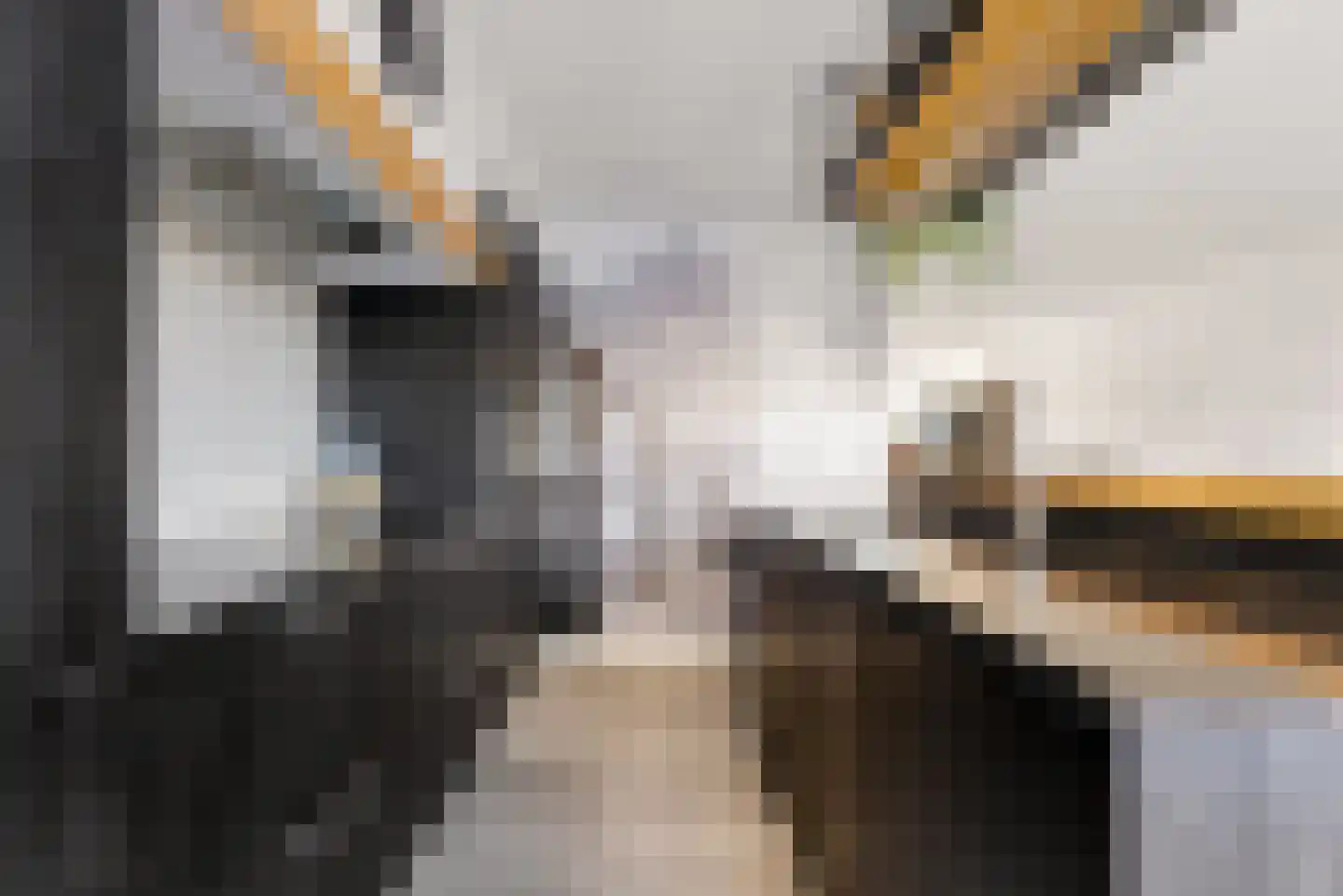 Molendijkjes 25 Elburg thumbnail 31