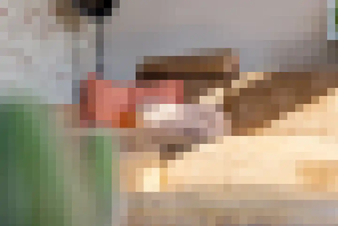 Molendijkjes 25 Elburg thumbnail 34