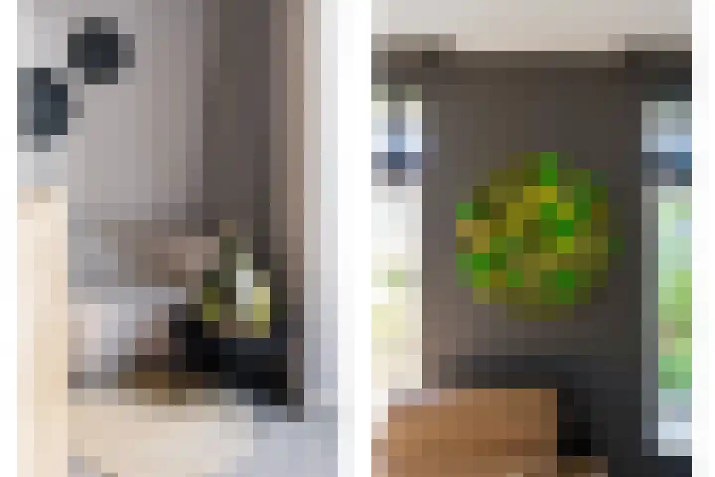 Molendijkjes 25 Elburg thumbnail 35