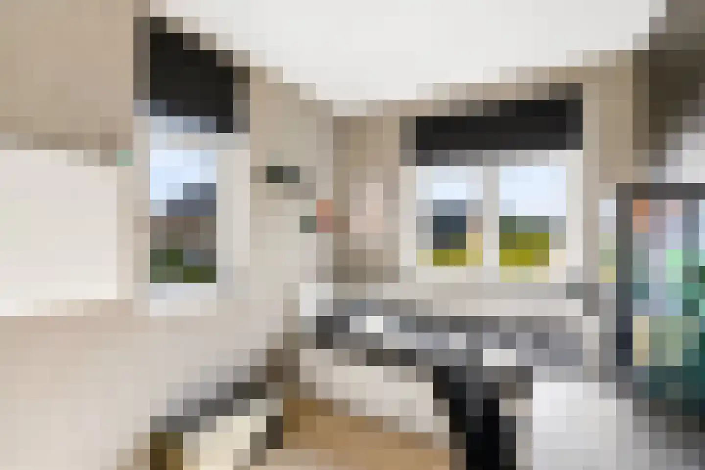 Molendijkjes 25 Elburg thumbnail 38