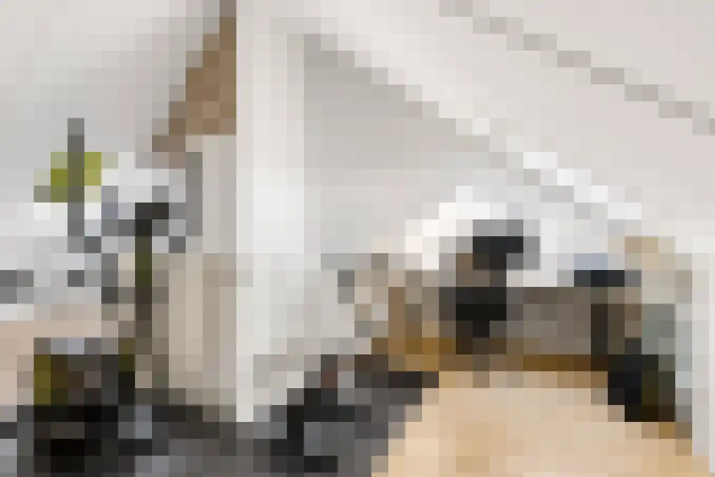 Molendijkjes 25 Elburg thumbnail 51