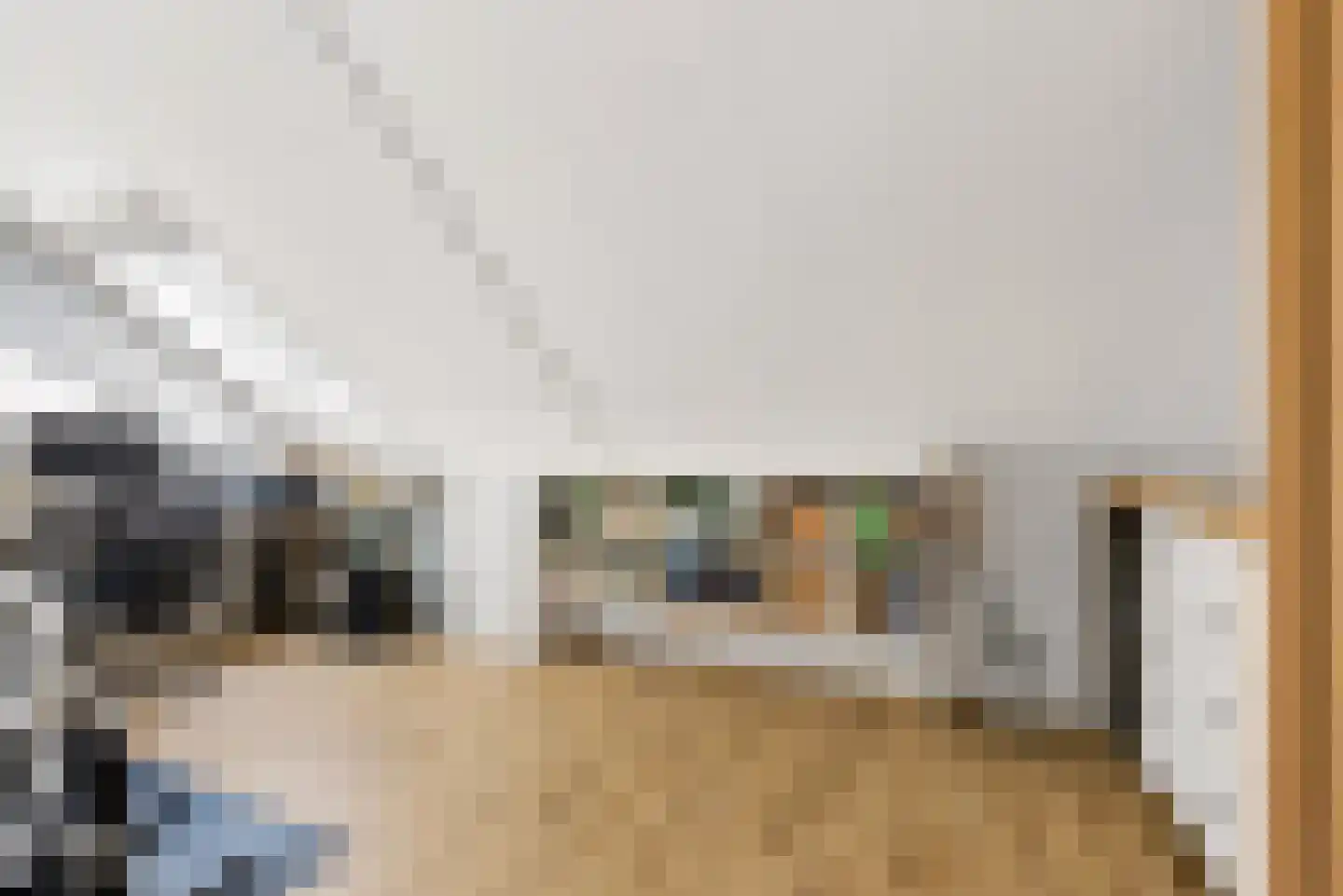 Molendijkjes 25 Elburg thumbnail 54