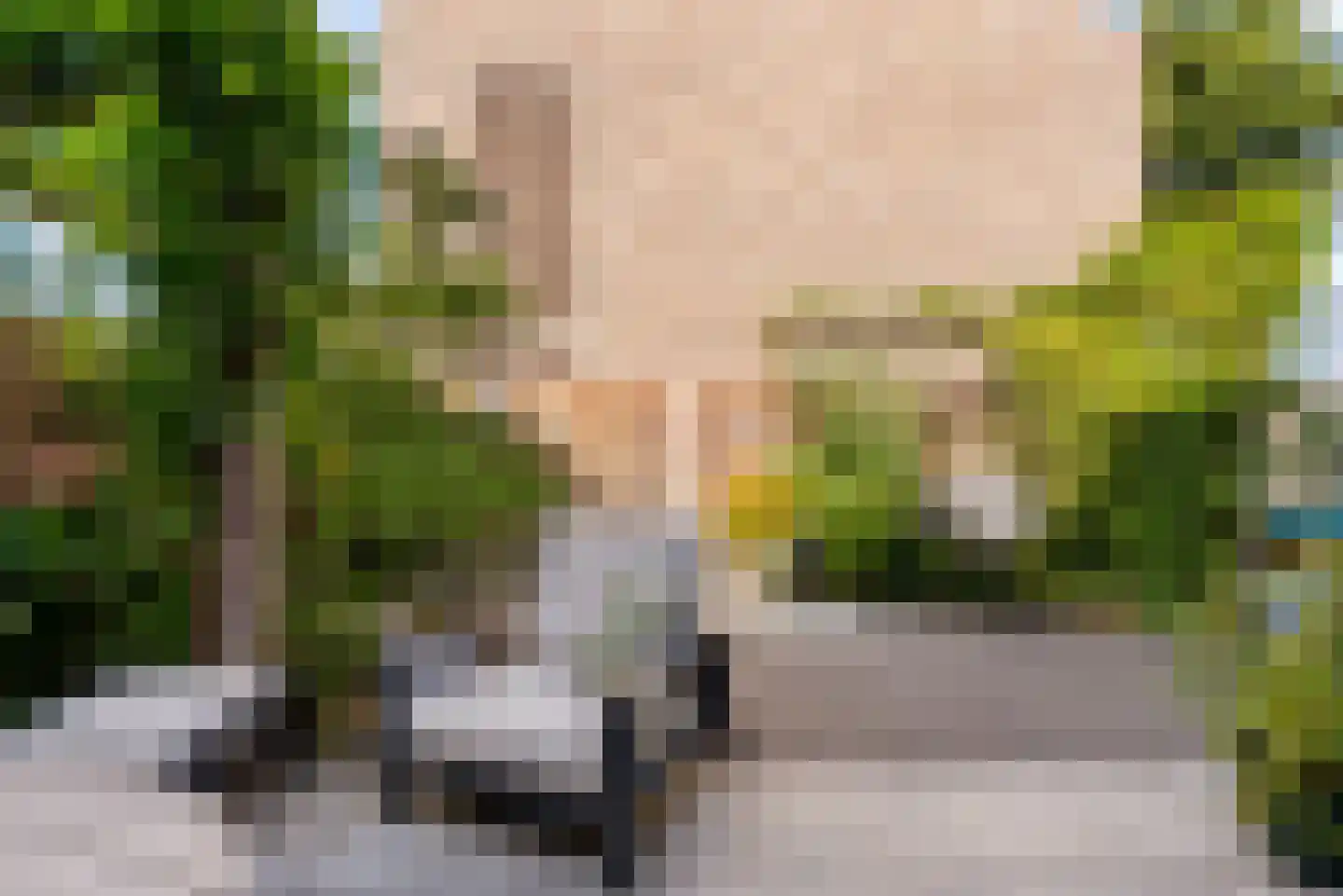 Molendijkjes 25 Elburg thumbnail 55