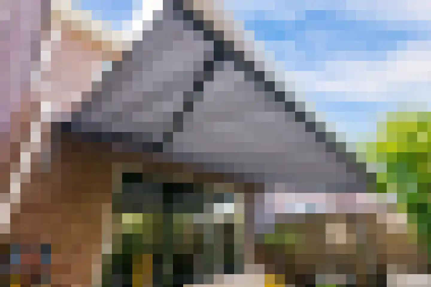 Molendijkjes 25 Elburg thumbnail 69