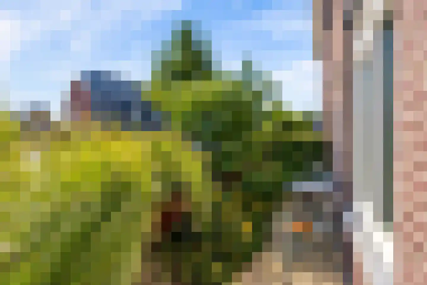 Molendijkjes 25 Elburg thumbnail 77
