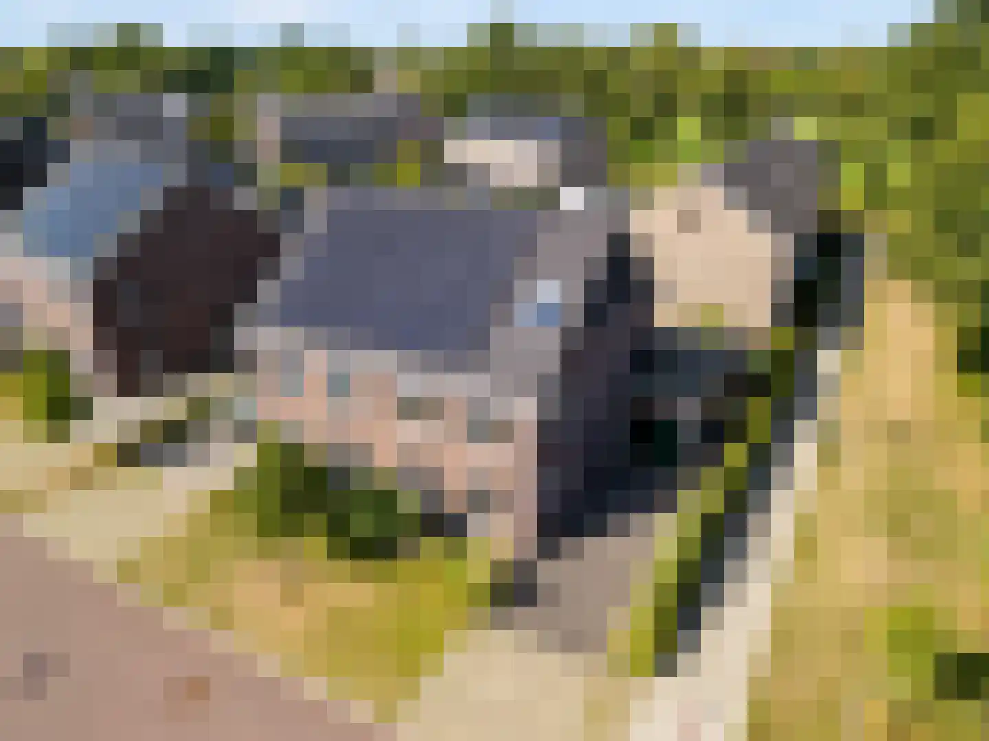 Molendijkjes 25 Elburg thumbnail 8