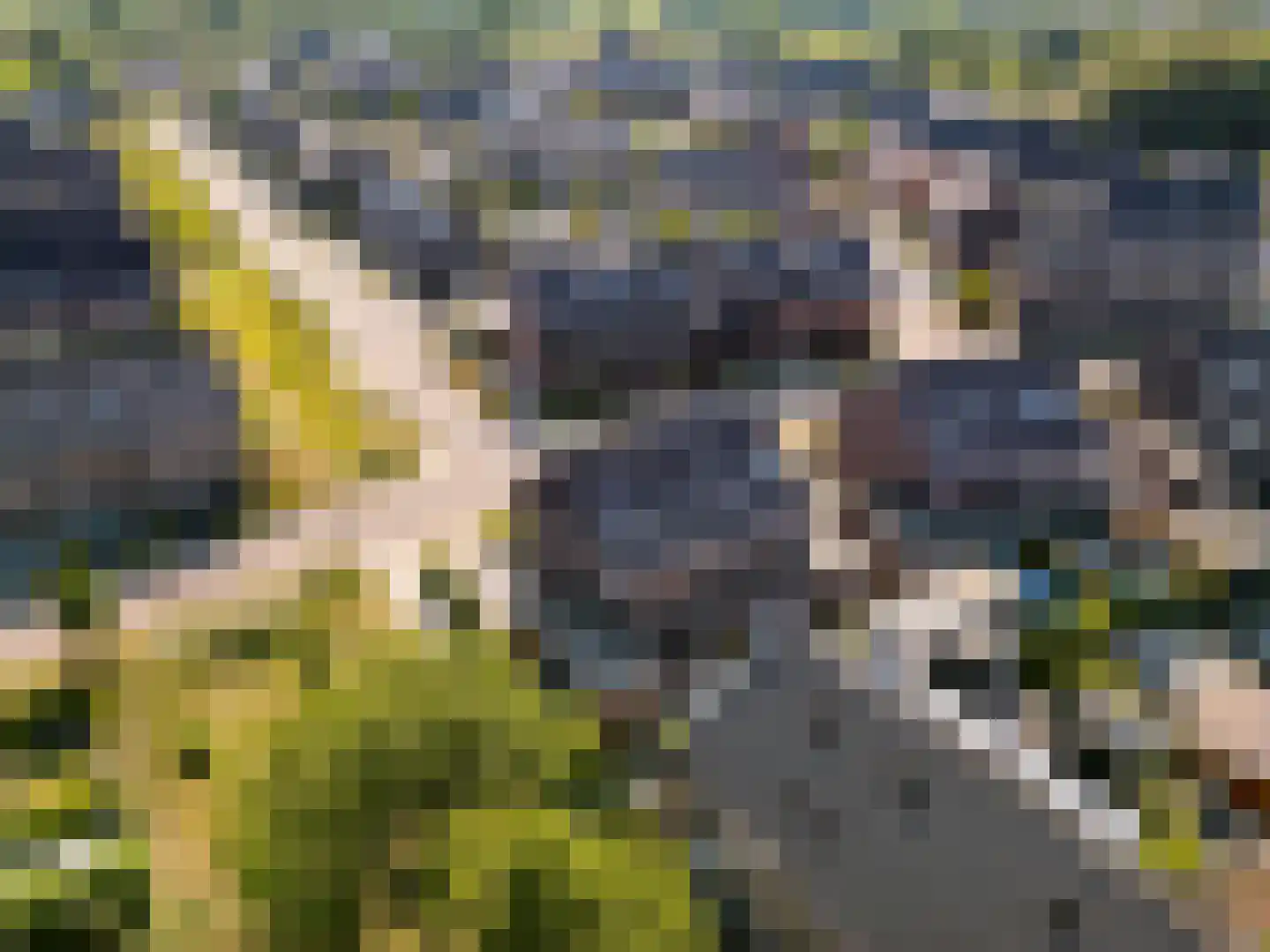 Molendijkjes 25 Elburg thumbnail 87