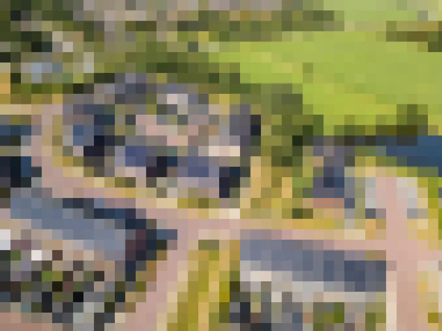 Molendijkjes 25 Elburg thumbnail 90