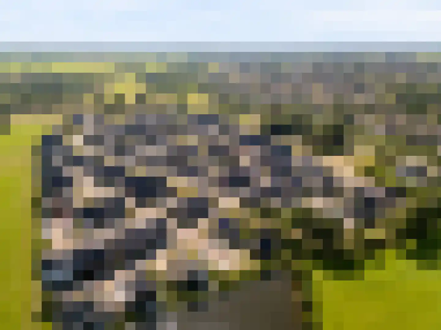 Molendijkjes 25 Elburg thumbnail 91
