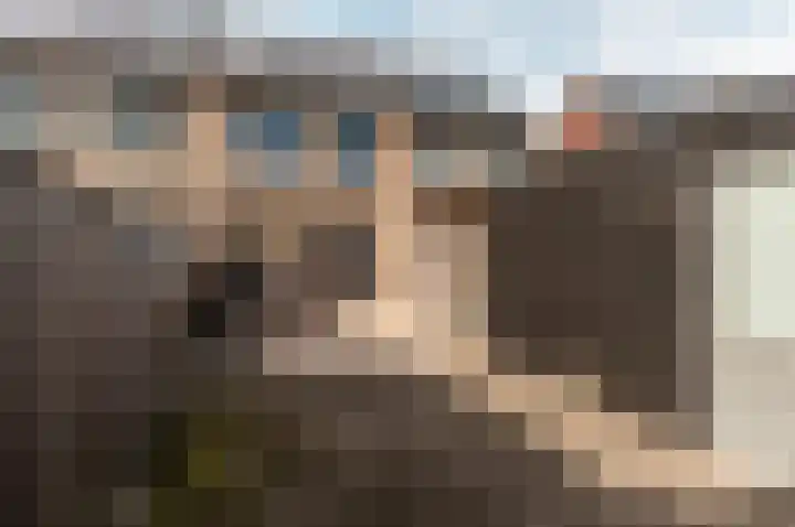 Molendijkjes 42 Elburg thumbnail 29