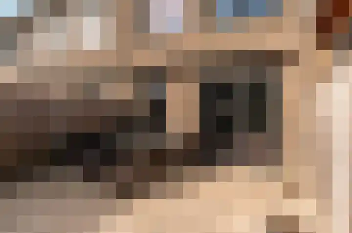 Molendijkjes 42 Elburg thumbnail 31