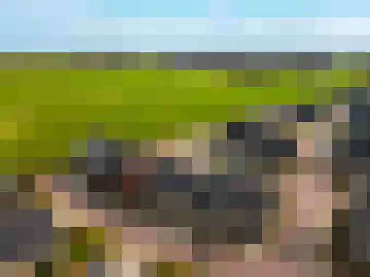 Molendijkjes 42 Elburg thumbnail 34