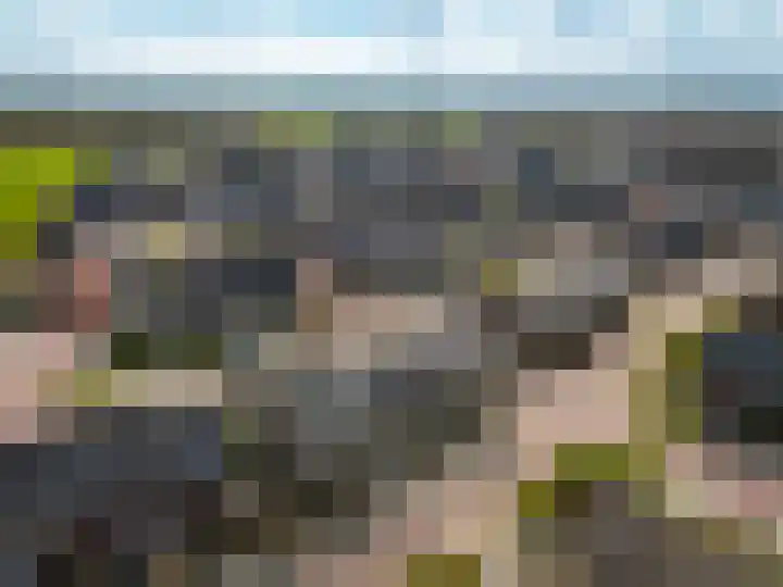 Molendijkjes 42 Elburg thumbnail 35