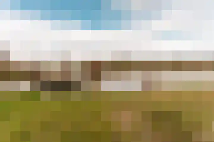 Molendijkjes 42 Elburg thumbnail 38