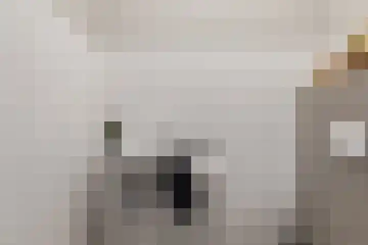 Molendijkjes 44 Elburg thumbnail 16