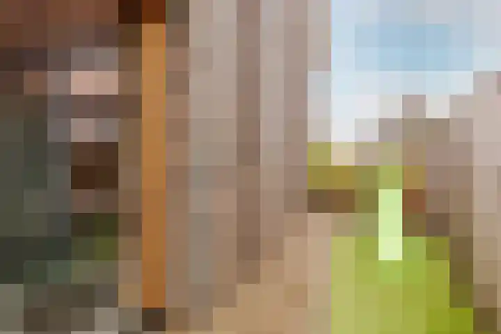 Molendijkjes 44 Elburg thumbnail 32