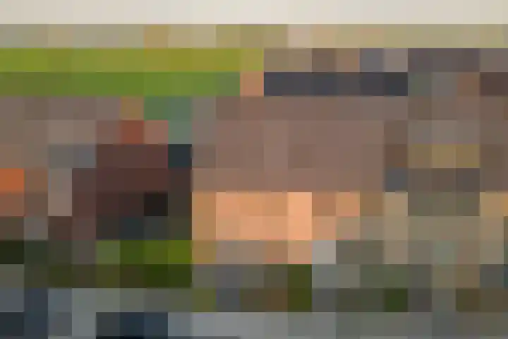 Molendijkjes 44 Elburg thumbnail 33