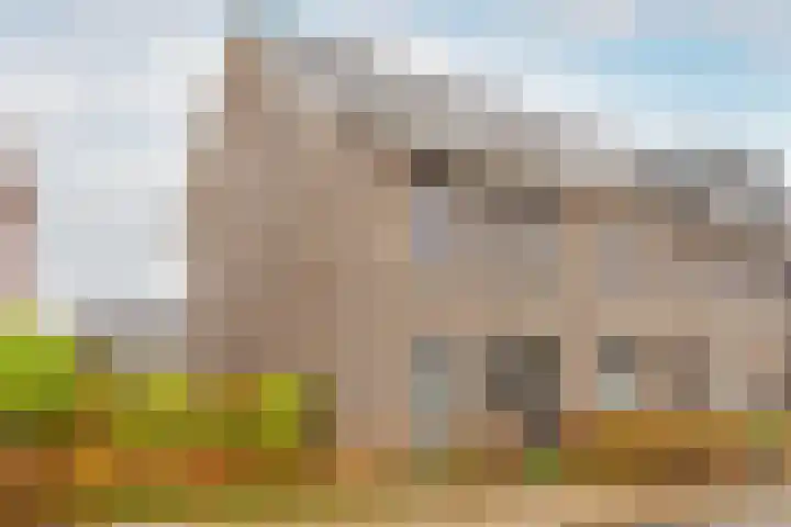 Molendijkjes 44 Elburg thumbnail 4