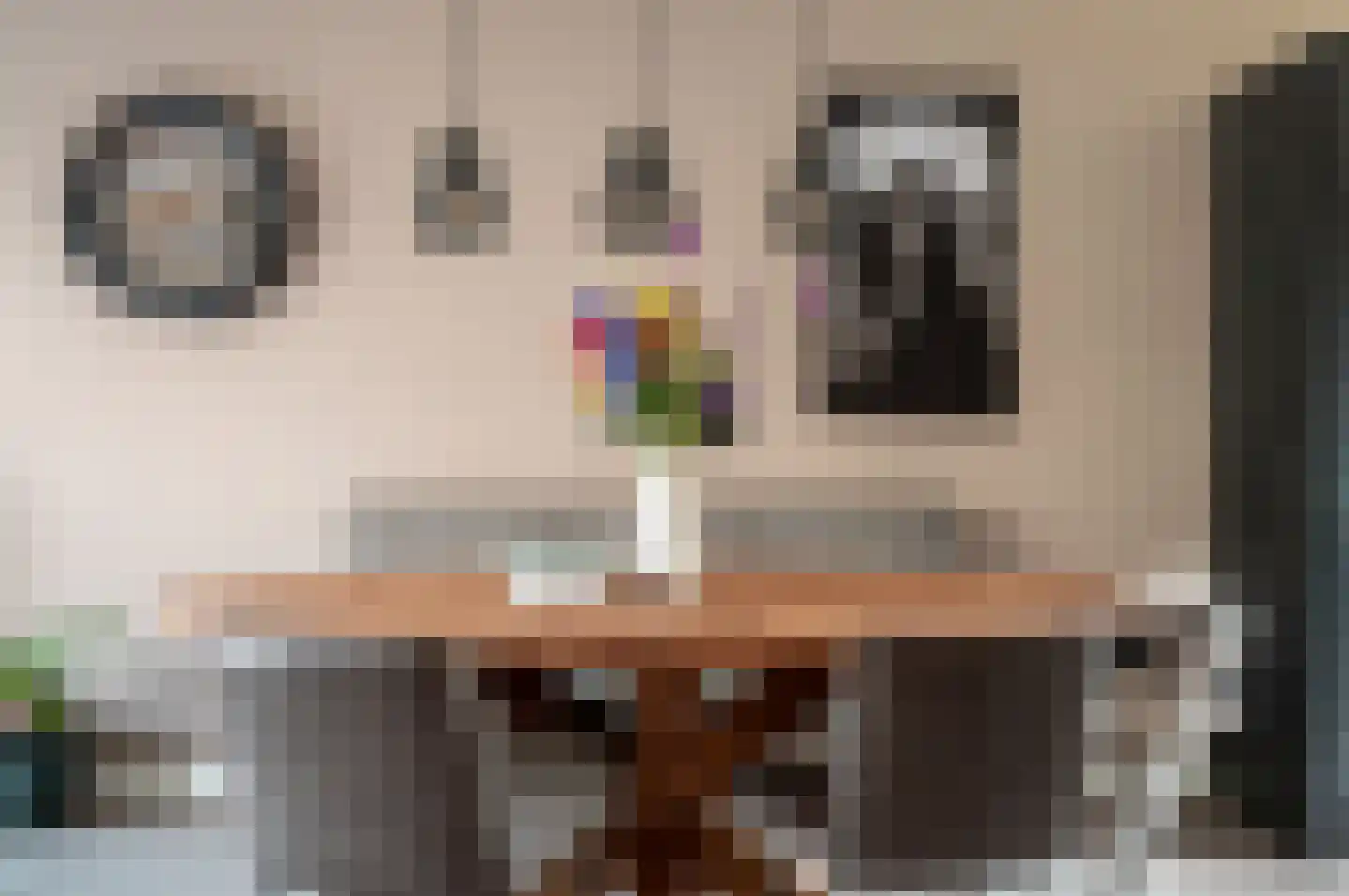 Molendijkjes 5 Elburg thumbnail 11