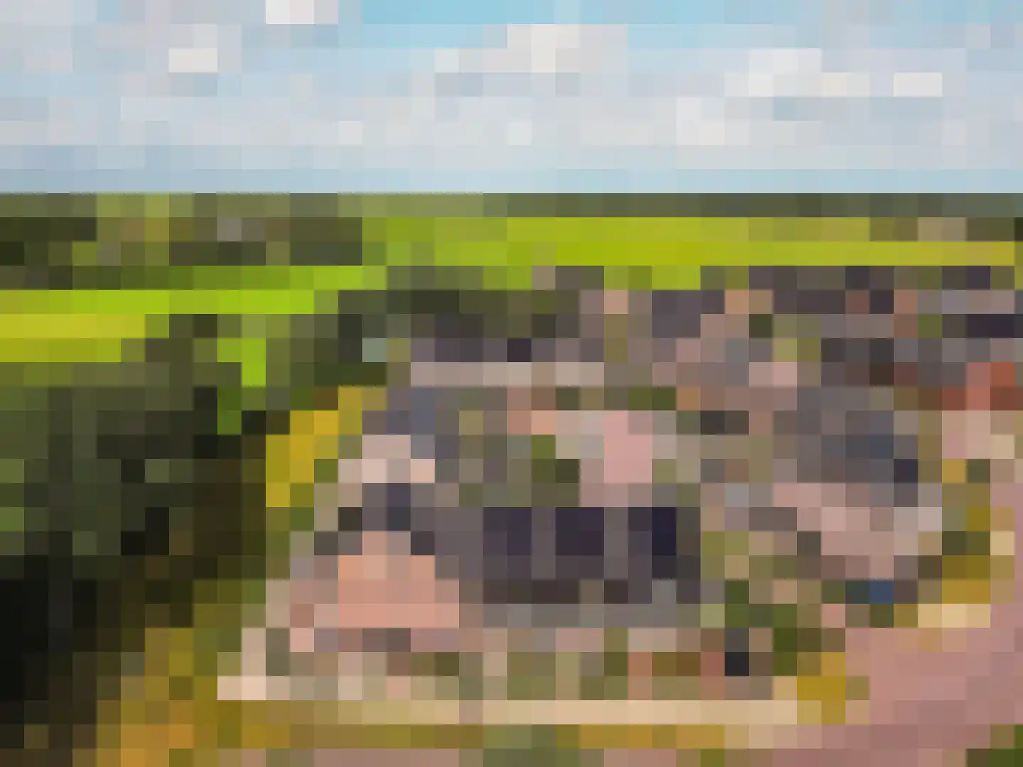 Molendijkjes 5 Elburg thumbnail 30