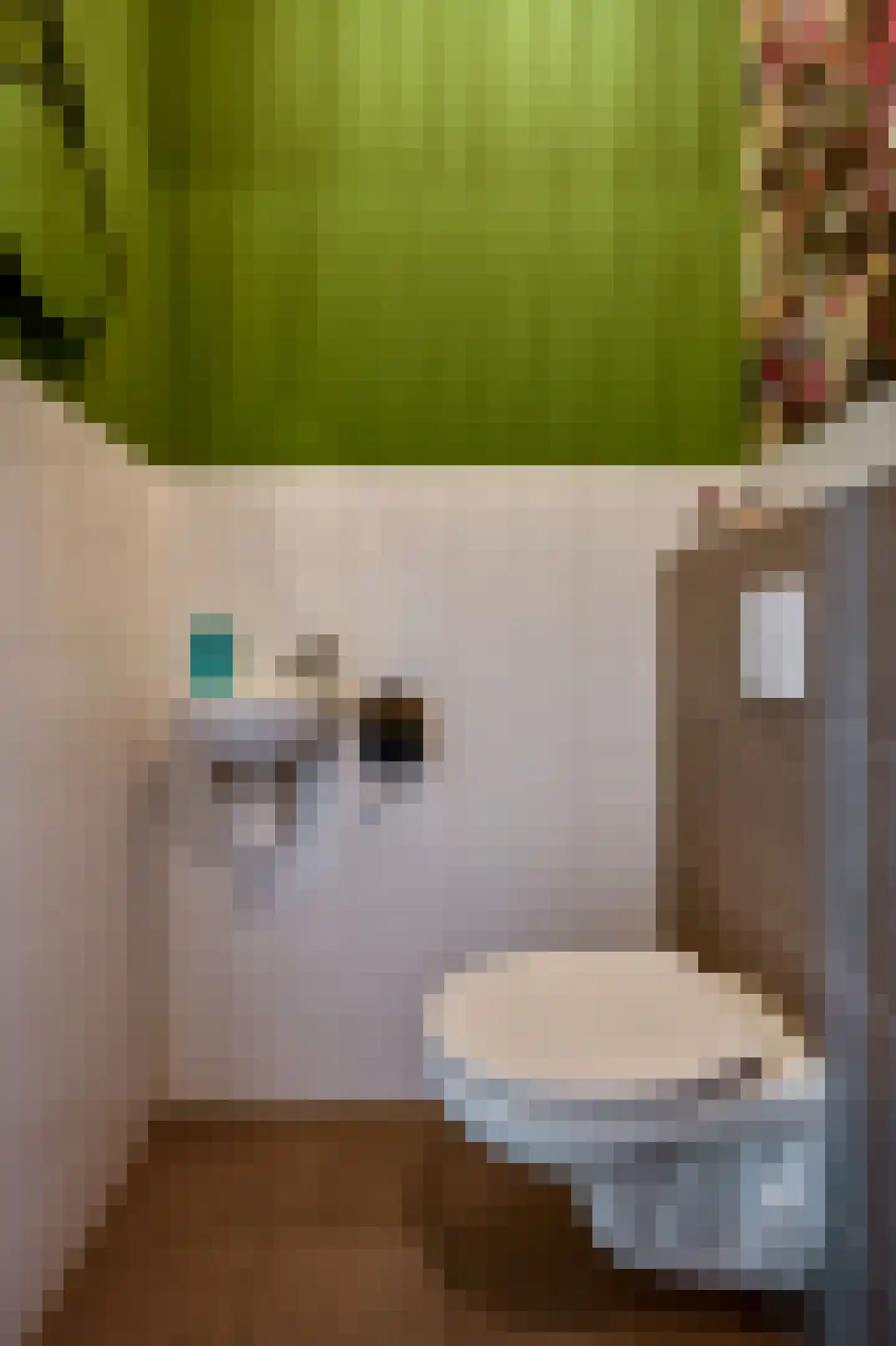 Molendijkjes 5 Elburg thumbnail 6