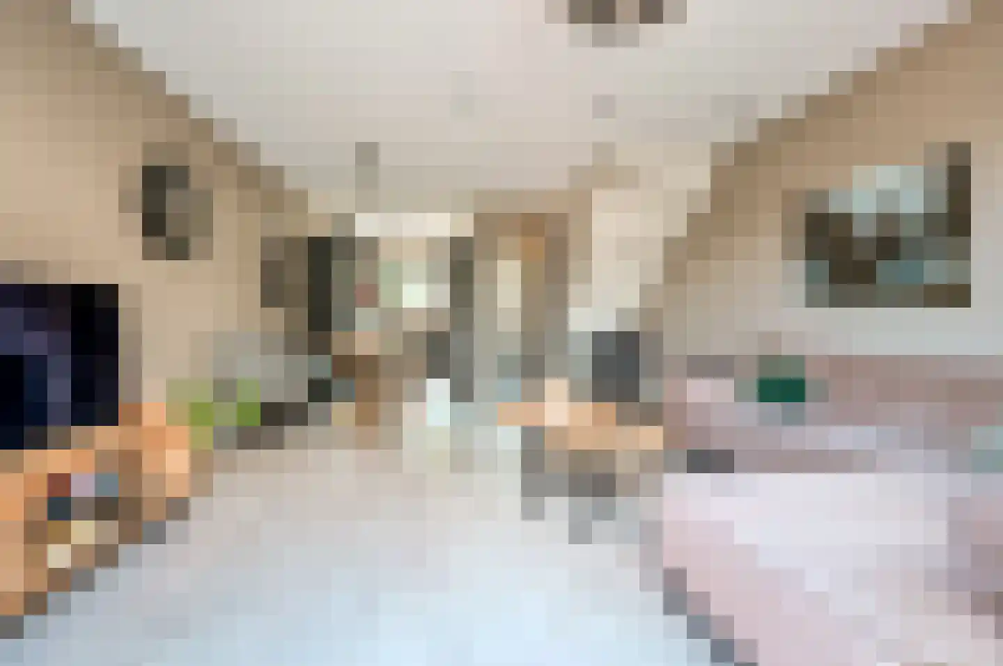 Molendijkjes 5 Elburg thumbnail 8