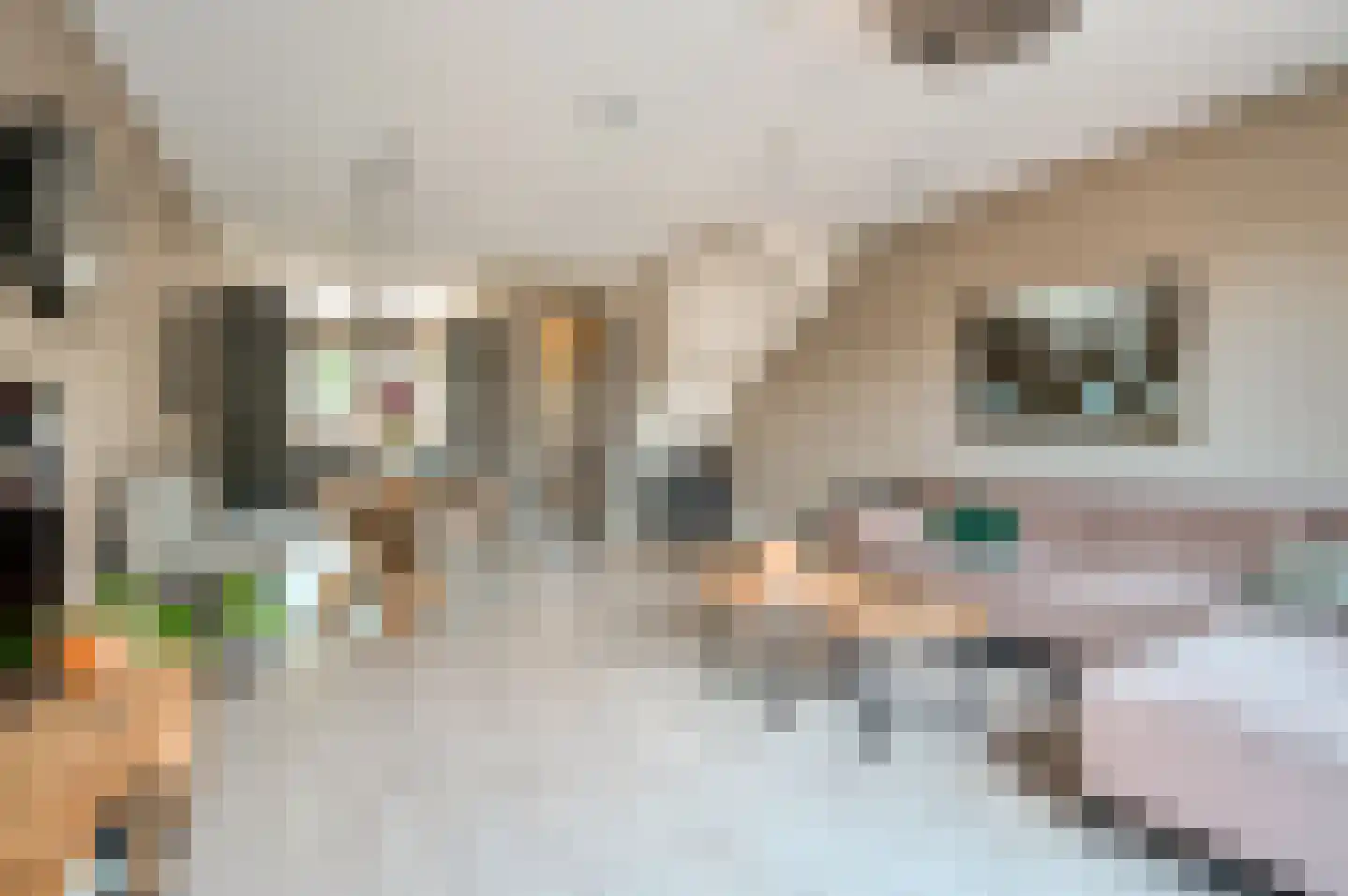 Molendijkjes 5 Elburg thumbnail 9