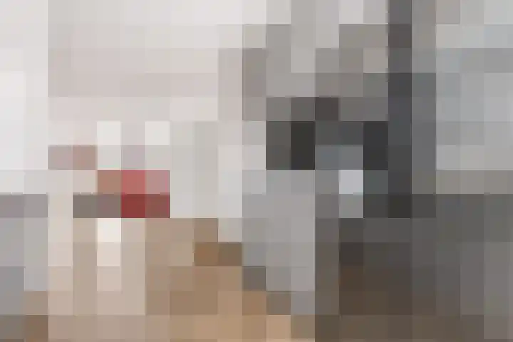 Molendijkjes 50 Elburg thumbnail 20