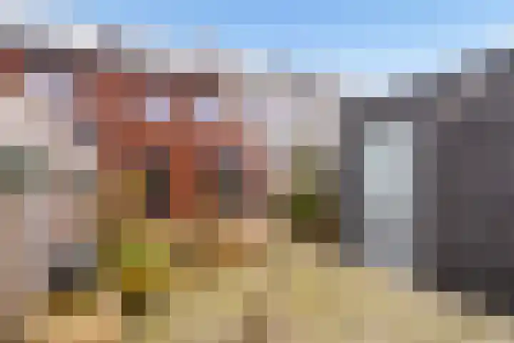 Molendijkjes 50 Elburg thumbnail 36