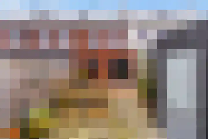 Molendijkjes 50 Elburg thumbnail 38