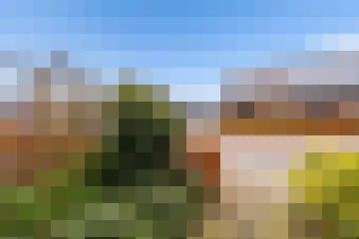 Molendijkjes 50 Elburg thumbnail 45