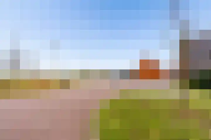 Molendijkjes 50 Elburg thumbnail 48