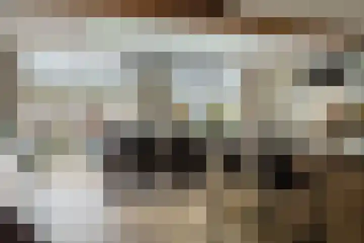 Molendreef 11 Wernhout thumbnail 14