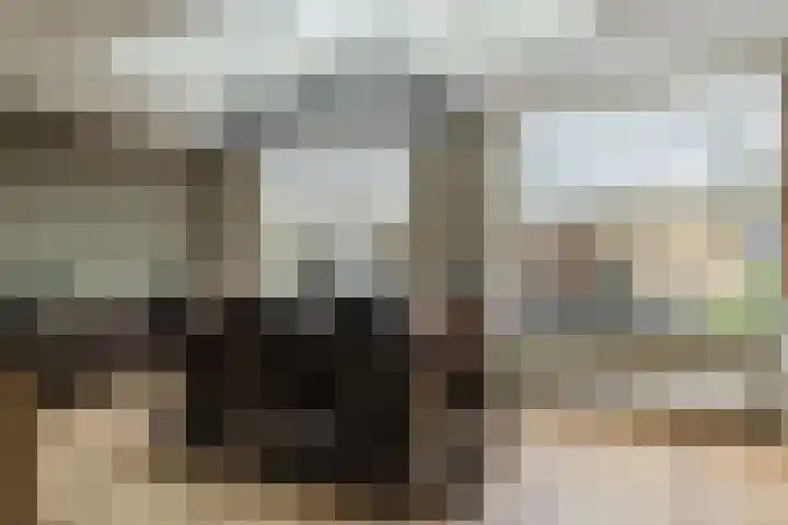 Molendreef 11 Wernhout thumbnail 16