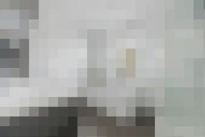Molendreef 11 Wernhout thumbnail 33