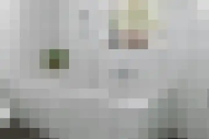 Molendreef 11 Wernhout thumbnail 36