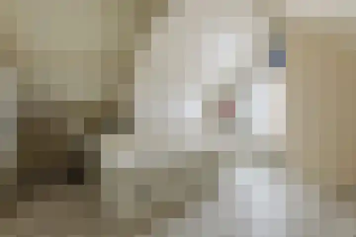 Molendreef 11 Wernhout thumbnail 38