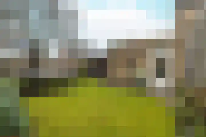 Molendreef 11 Wernhout thumbnail 42