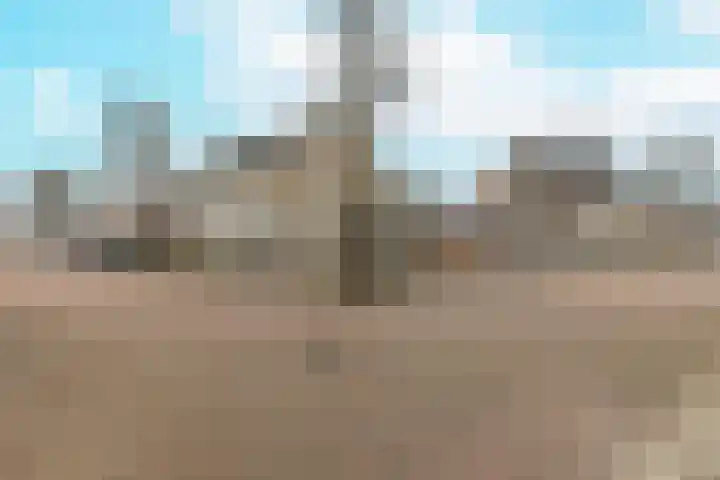 Molendreef 11 Wernhout thumbnail 48