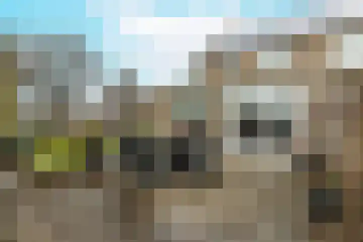 Molendreef 11 Wernhout thumbnail 5