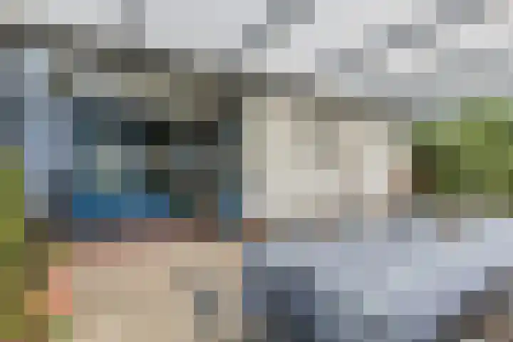 Molendreef 112 Ossendrecht thumbnail 41