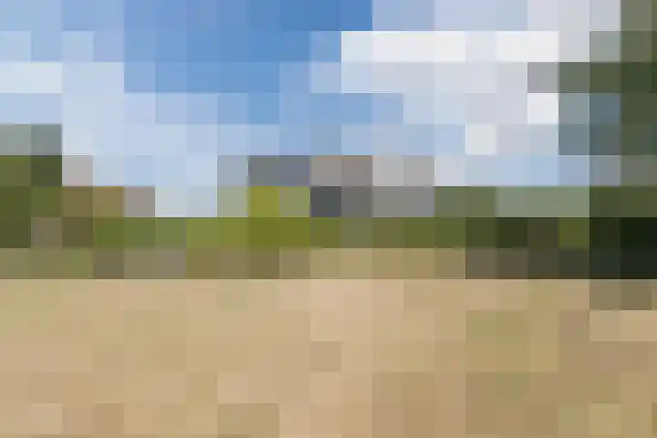 Molendreef 112 Ossendrecht thumbnail 47