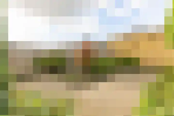Molendreef 20 Wernhout thumbnail 39