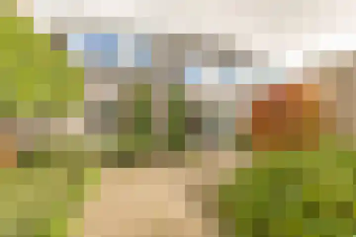 Molendreef 20 Wernhout thumbnail 40