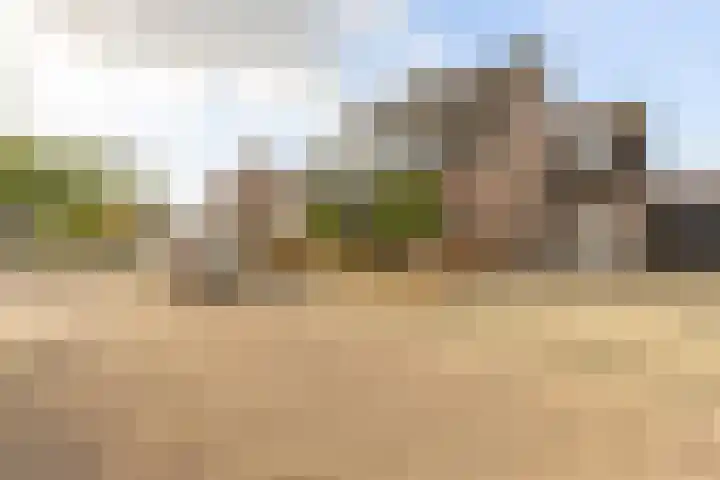 Molendreef 20 Wernhout thumbnail 43