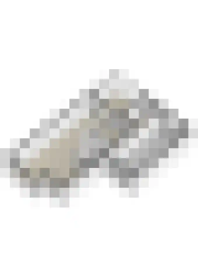 Molendreef 20 Wernhout thumbnail 46