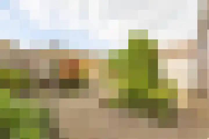Molendreef 20 Wernhout thumbnail 6