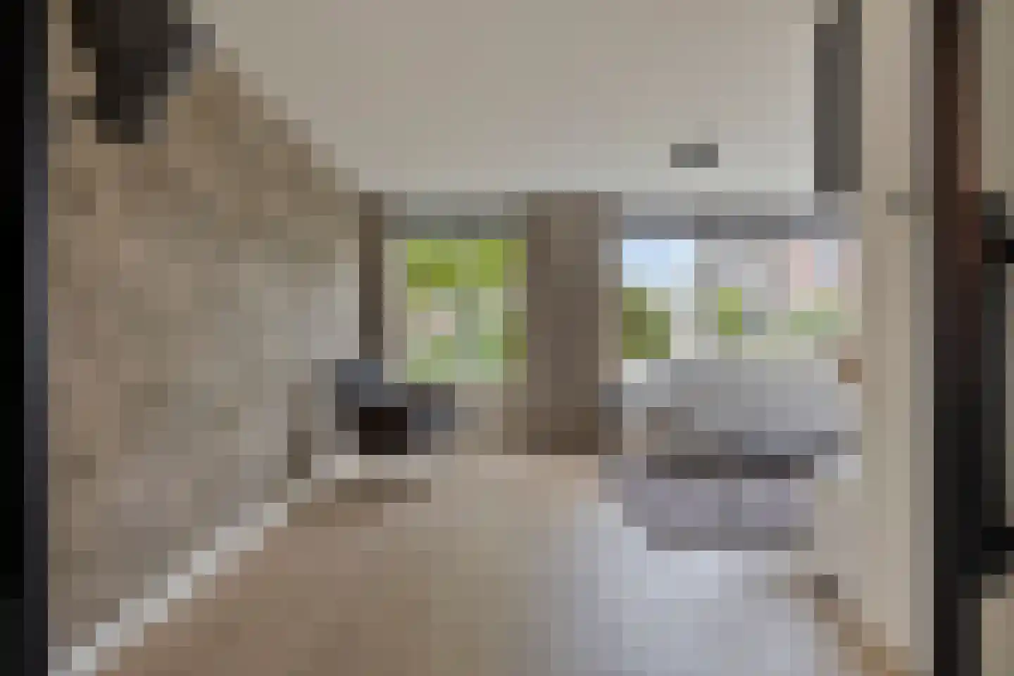 Molendreef 21 Wernhout thumbnail 11