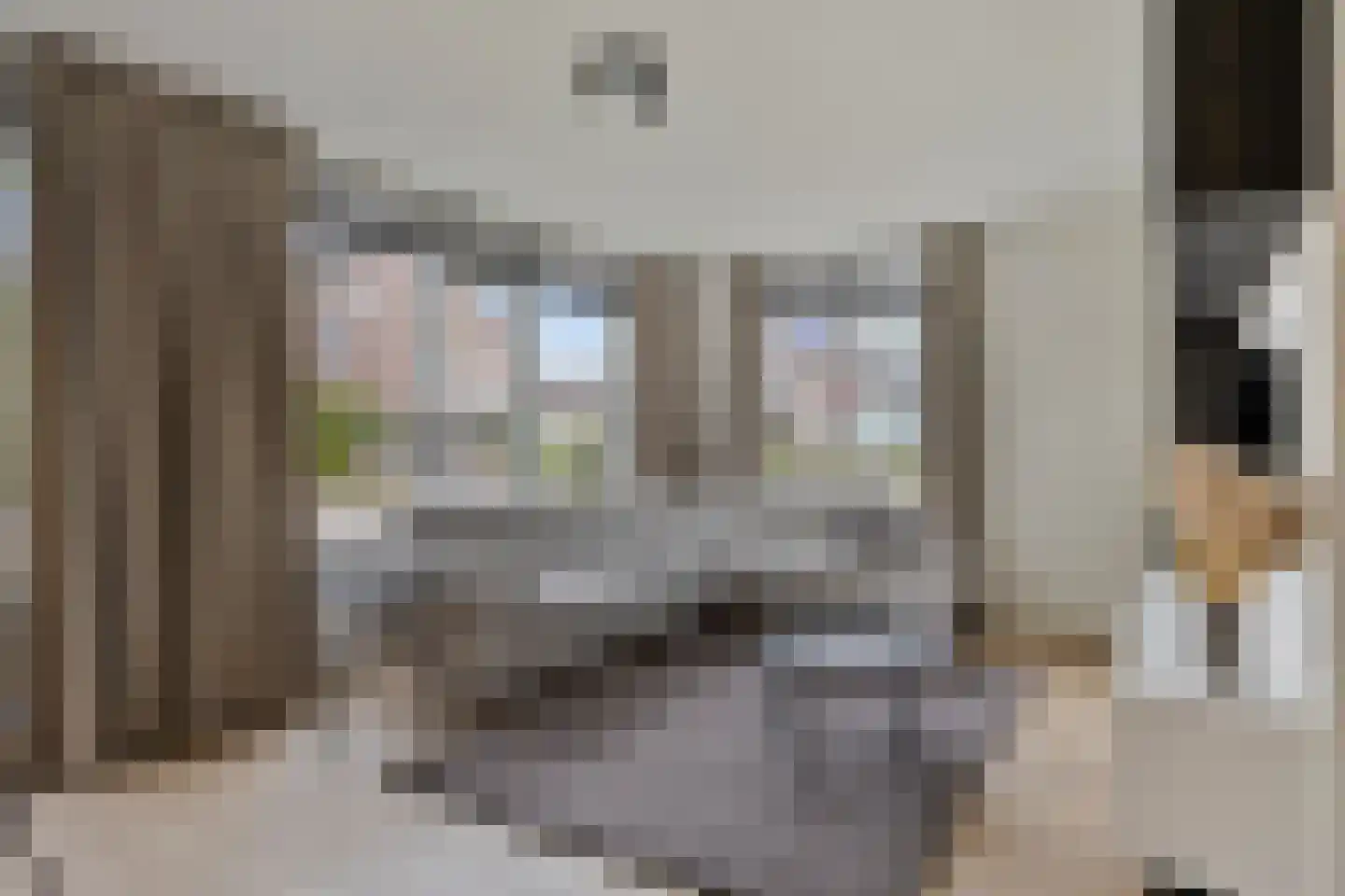 Molendreef 21 Wernhout thumbnail 12